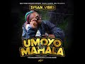 Umoyo Ni Mahala - Dman Vibes (official Audio) prod by AtomicBomb & TheUrbanBeatMaker