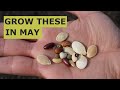 10 Seeds YOU MUST Grow in MAY