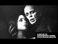 Nosferatu the Vampyre (1979) ◆ A Brief Review