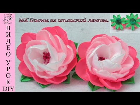 Пионы из ленты своими руками Пионы из ленты своими руками