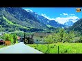 Beautiful Spring in Central Switzerland with Snow-capped Mountains | #swiss #swissview