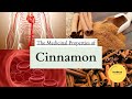 CINNAMON The Medicinal Properties of Cinnamon #herbology 📚🌿