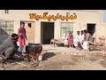 Daig Wala| Number Daar | Rocket | Preeto Mukho | New Top Funny | Punjabi Comedy Video | Chal TV