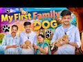 MY FIRST FAMILY DOG || Middle Class Family || Sumit Bhyan