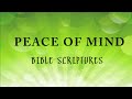 Peace Of Mind [Audio Bible Scriptures to Harp]