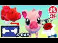 Fizzy The Pet Vet Helps Farm Animals Get Better | Fun Compilation Stories For Kids