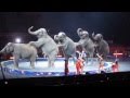 Ringling Brothers Circus - Cruelty to Elephants - Sept 1, 2014