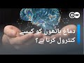 دماغ ہاتھ کو کنٹرول کرتا ہے یا ہاتھ دماغ کو؟ | DW Urdu | How our brain controls hand?