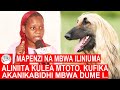 Nililazimika Kuwa na Mapenzi na Mbwa Ili Kuokoa Uhai Wangu, Bosi Aliniita Kulea Mtoto Kufika Aka..