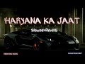 HARAYANA KA JAAT - [Slowed+Reverb] | Lofi songs