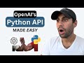 The OpenAI (Python) API | Introduction & Example Code