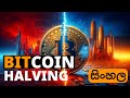 What Is Bitcoin Halving? | Quick Explainer (2024)