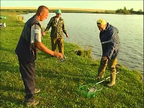 ловля карпа на комбайны ловля карпа на комбайны