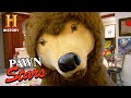 Pawn Stars: MASSIVE LIFE-SIZE BEAR Worth a Pretty Penny (Season 5) | History