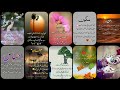 Urdu quotes Amazing|aqwal e zareen|gehri baatien |deeni baatien|best Urdu quotes mix