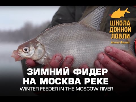 московская фидерная школа московская фидерная школа
