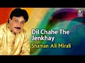 Shaman Ali Mirali Song | Dil Chahe The Jenkhay | Sindhi Songs