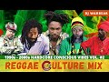 Hardcore Conscious Culture Reggae Mix 2 (90s-2000s) BUJU BANTON/JAH CURE/GARNETT/SIZZLA/CAPLETON