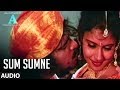 Sum Sumne Full Audio Song || A || Rajesh Krishnan, Upendra