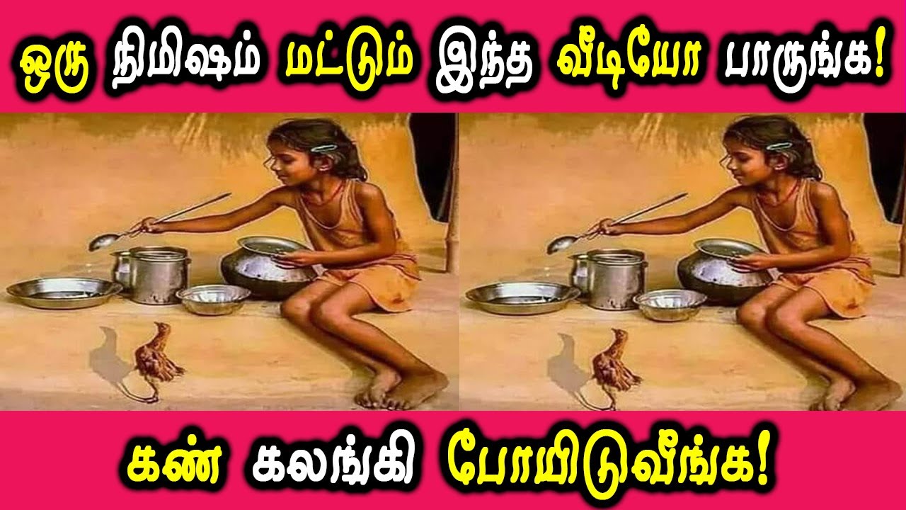 ஒரு நிமிஷம் மட்டும் இந்த வீடியோ பாருங்க கண் கலங்கி போயிடுவீங்க! | Tamil Cinema News