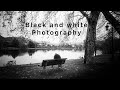 Black and white photography |                               Street bnw