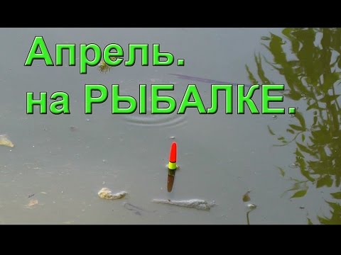 весенняя ловля карпа на поплавочную удочку весенняя ловля карпа на поплавочную удочку