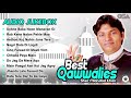 Best Qawwalies | Audio Jukebox | Sher Miandad Khan | OSA Worldwide
