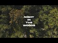 “Night In The Woods” (short horror film)