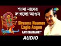 Shyama Naamer Laglo Aagun | Ma Jar Anandamayee | Ajoy Chakrabarty | Audio