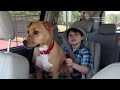 Autistic Boy & Rescue Dog Bond