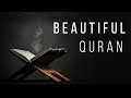 BEAUTIFUL QURAN RECITATION (Surah Fatir) سورة فاطر- عمر هشام