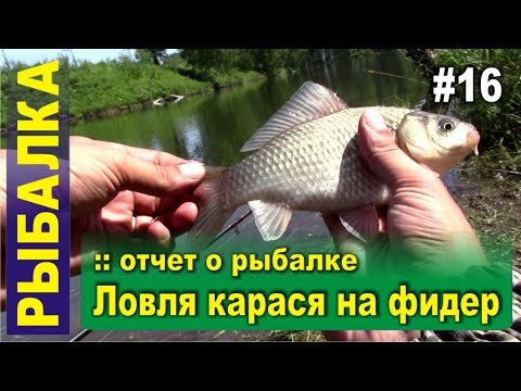 на что ловить карася весной видео на фидер на что ловить карася весной видео на фидер