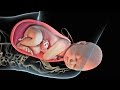 Labor and Delivery | Childbirth