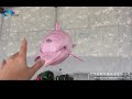 Lucky Star - 5-meter Pink Remote-Controlled Dolphin