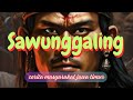 Sawunggaling , Sejak lahir  dikenal bernama Jaka Berek ...@sallybae66 #legenda #cerita #mitos