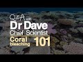 Coral bleaching 101 - coral bleaching explained | Great Barrier Reef Marine Park Authority