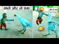 और लो बाप से पंगा 🤣😂 When Animals Messed With Wrong Enemy (Part-6)