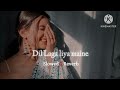 Dil Laga Liya maine | Slowed + Reverb | Alka Yagnik & Udit Narayan | Lofi's World