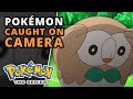 Funniest Pokémon Compilation | Pokémon the Series