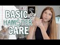 Basic Hamster Care 🐹