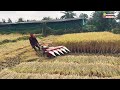 Paddy 🌾 cotting mission| ಭತ್ತ ಕುಯುವಯಂತ್ರ #VST #agriculturelife #agriculture