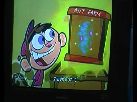 fairly oddparents intro lyrics