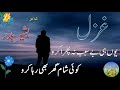 Yonhi Be Sabab na Phira kro koi Sham Ghar bhi rha kro | Bashir Badar | Urdu poetry | Best Ghazal