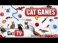 CAT Games | Ultimate Cat TV Compilation Vol 36 | 2 HOURS 🐝🐞🦋🦎🦜🐜🐭🧵