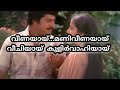 Poomaname song Nirakkottu movie malayalm lyrics