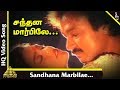 Nadodi Thendral Tamil Movie | Santhana Marbile Video Song | Karthik | Ranjitha | சந்தன மார்பிலே