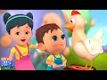Kukdoo Koo, मराठी बालगीत, Marathi Goshti and Nursery Rhymes for Babies