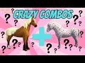 CRAZY COMBOS = AMAZING NEW FOALS! BREEDING ON WILD HORSE ISLANDS!