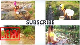 New Interesting Channel - Amazing Primitive Fishing Cambodia - SUBSCRIBE! Daily Videos #ARJ