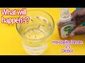mosquito larva vs dettol experiment | mosquito killer DIY
